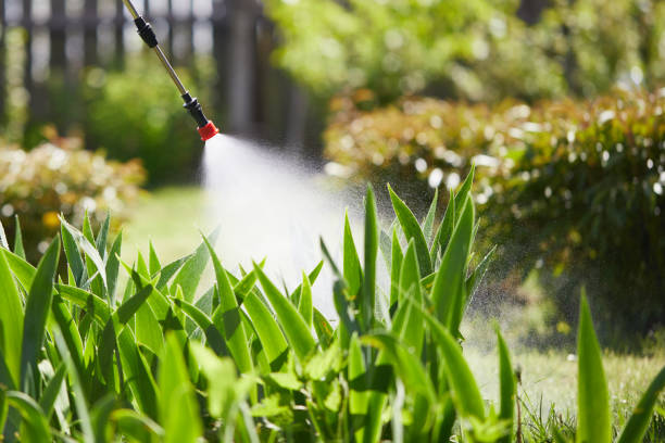 24/7 Emergency Ant Control experts in San Fernando, CA