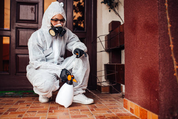 Reliable Ant Control contractor in San Fernando, CA by Nex Pest Control