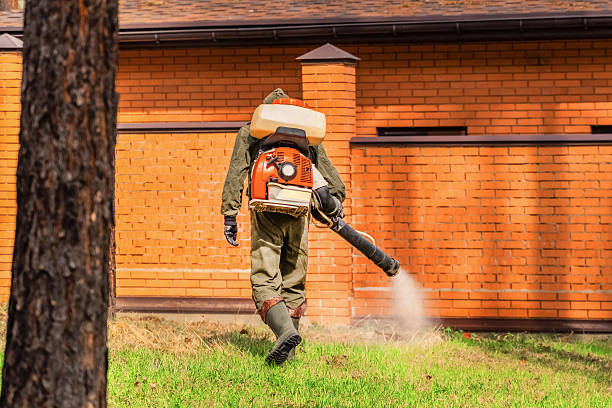 Trusted Mosquito Control service in San Fernando, CA - Nex Pest Control